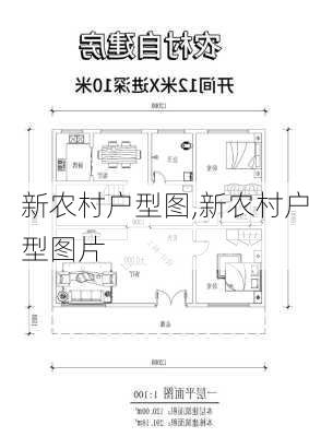 新农村户型图,新农村户型图片