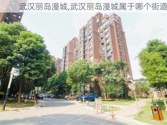 武汉丽岛漫城,武汉丽岛漫城属于哪个街道