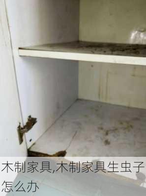 木制家具,木制家具生虫子怎么办