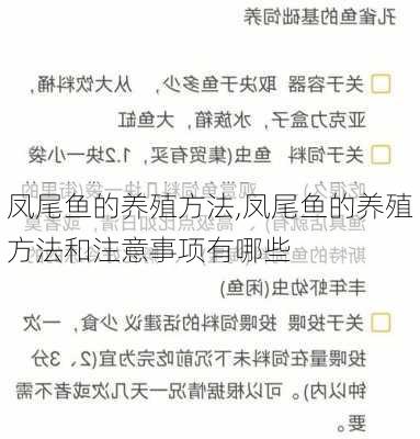 凤尾鱼的养殖方法,凤尾鱼的养殖方法和注意事项有哪些