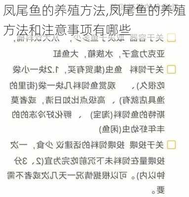 凤尾鱼的养殖方法,凤尾鱼的养殖方法和注意事项有哪些