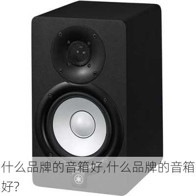 什么品牌的音箱好,什么品牌的音箱好?