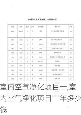 室内空气净化项目一,室内空气净化项目一年多少钱