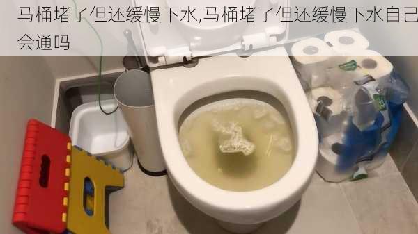 马桶堵了但还缓慢下水,马桶堵了但还缓慢下水自己会通吗