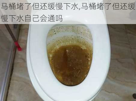 马桶堵了但还缓慢下水,马桶堵了但还缓慢下水自己会通吗