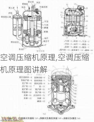 空调压缩机原理,空调压缩机原理图讲解