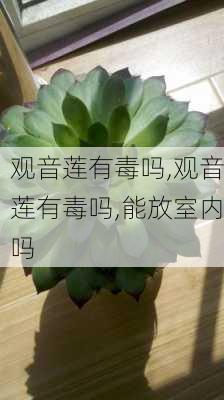 观音莲有毒吗,观音莲有毒吗,能放室内吗