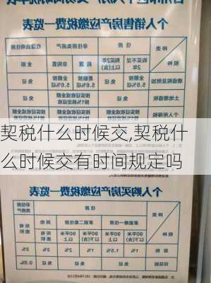 契税什么时候交,契税什么时候交有时间规定吗