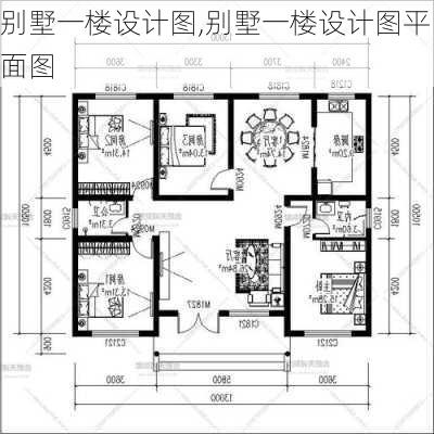 别墅一楼设计图,别墅一楼设计图平面图