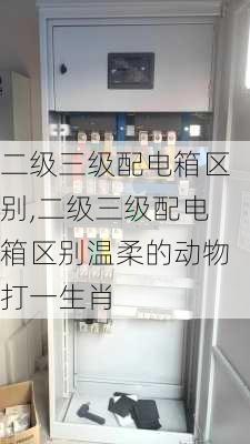 二级三级配电箱区别,二级三级配电箱区别温柔的动物打一生肖