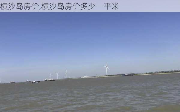 横沙岛房价,横沙岛房价多少一平米